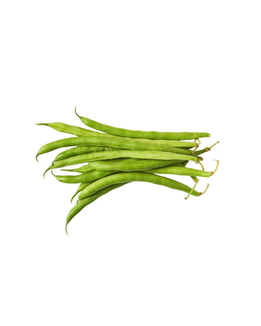 Kacang buncis daporunchet (1)
