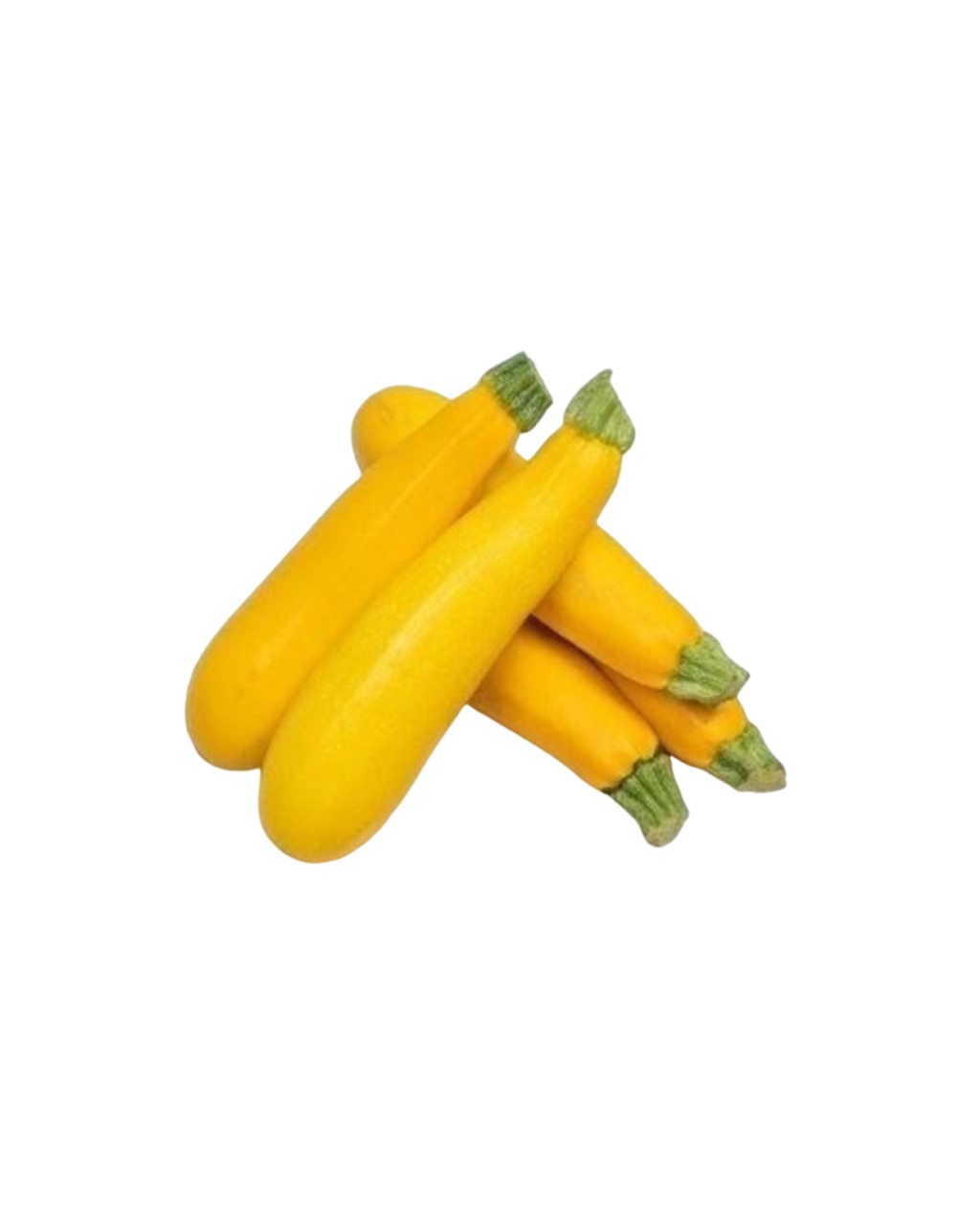 Zucchini kuning (1)