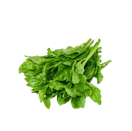 sayur_raja-removebg-preview