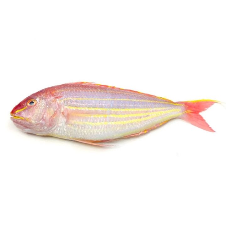 Ikan kerisi segar siap siang dan cuci daporunchet penghantaran sekitar KL dan Selangor