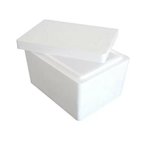 thermocol-ice-box-500x500.jpg daporunchet