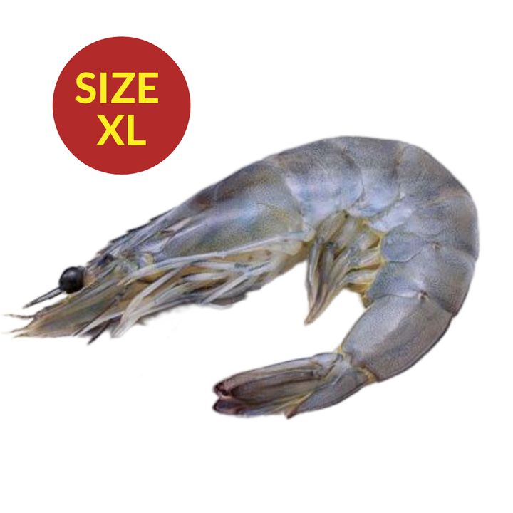 Udang XL segar siap siang dan cuci daporunchet penghantaran sekitar KL dan Selangor