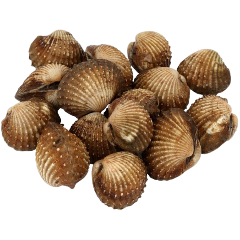 Kerang siap siang dan cuci daporunchet