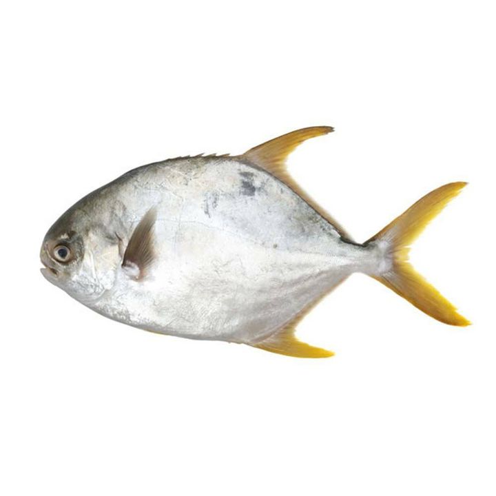 Ikan bawal emas segar siap siang dan cuci daporunchet penghantaran sekitar KL dan Selangor