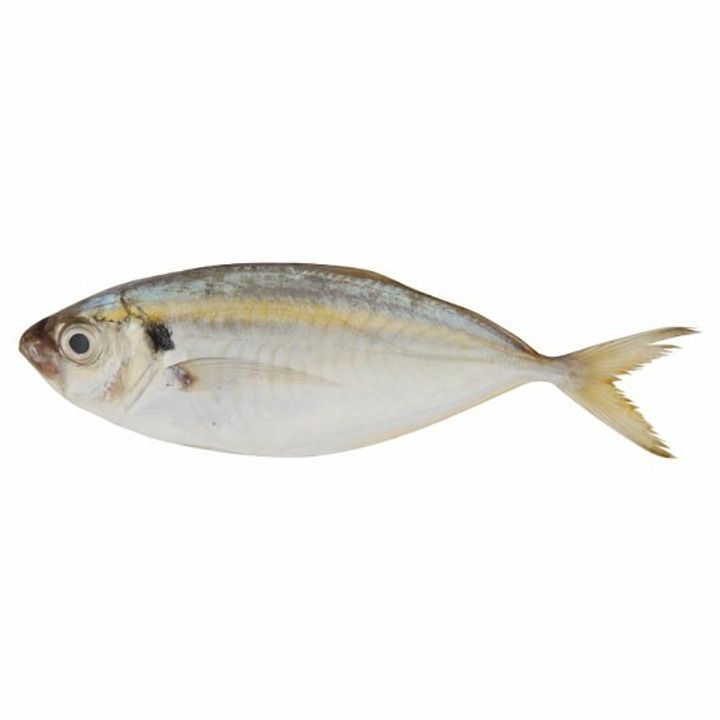 IKAN SELAR KUNING  siap siang dan cuci - penghantaran sekitar Kuala Lumpur & Selangor