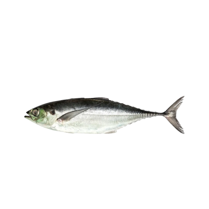 Ikan cencaru siap siang cuci daporunchet - penghantaran sekitar Kuala Lumpur & Selangor