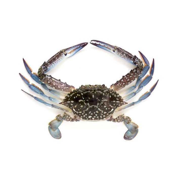 Ketam segar siap siang cuci dari Daporunchet – penghantaran sekitar Lembah Klang
