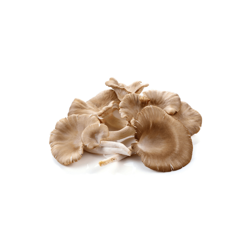 GREY-OYSTER-MUSHROOM-VEGETABLE-200G±
