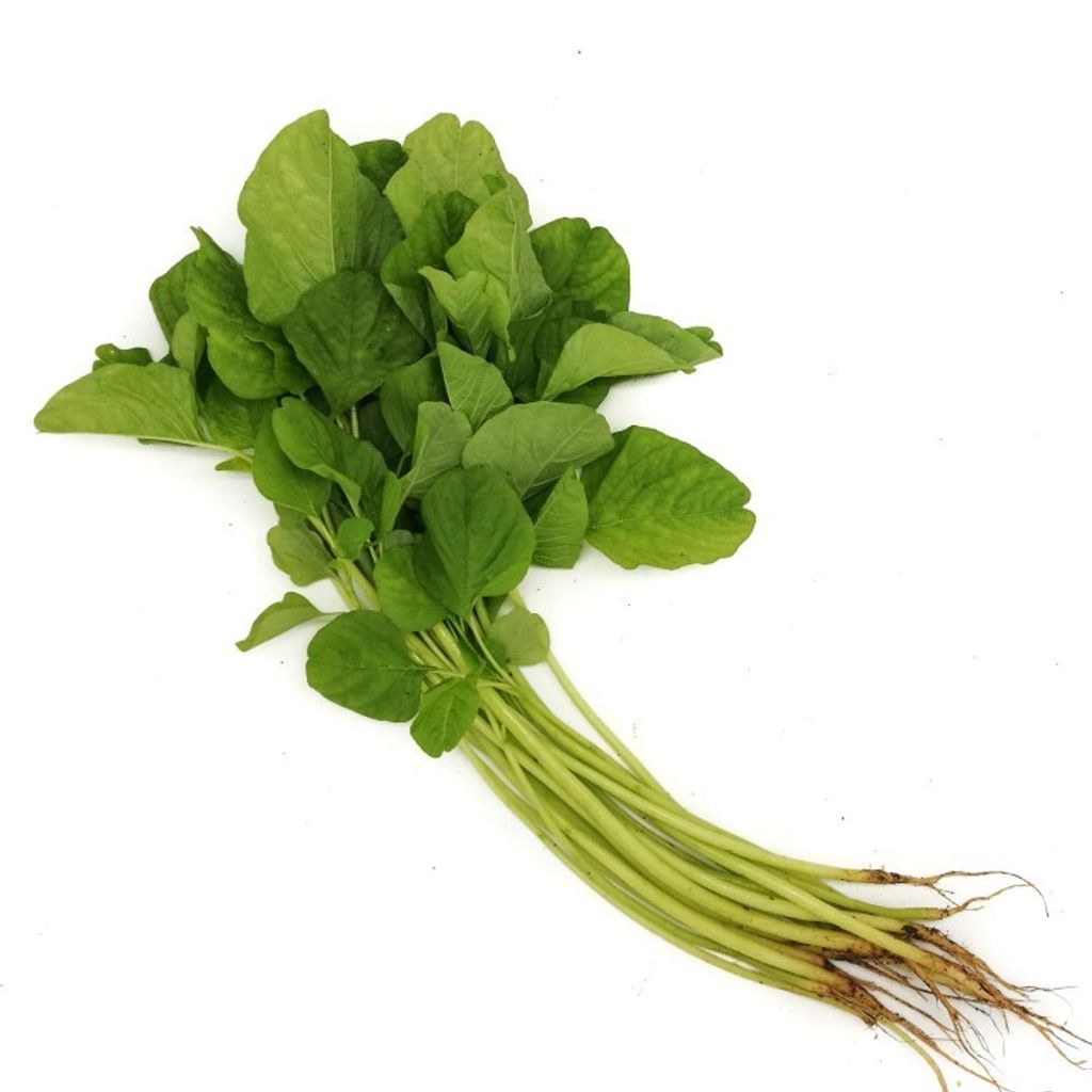 Bayam 