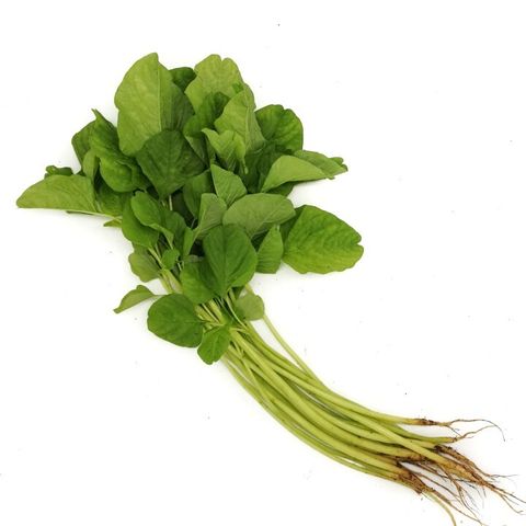 Bayam 