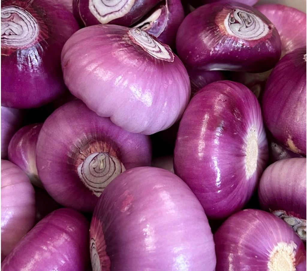 Bawang besar siap kupas