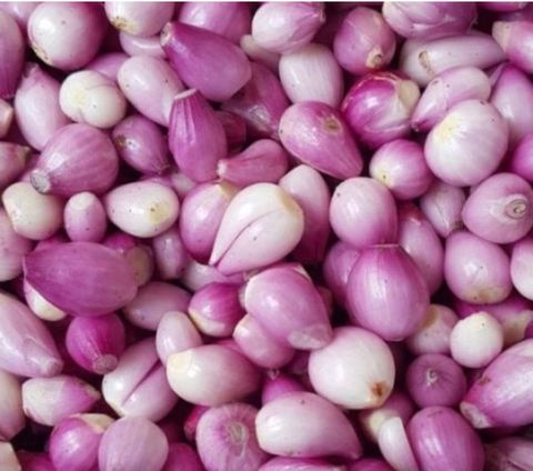 Bawang kecil siap kupas