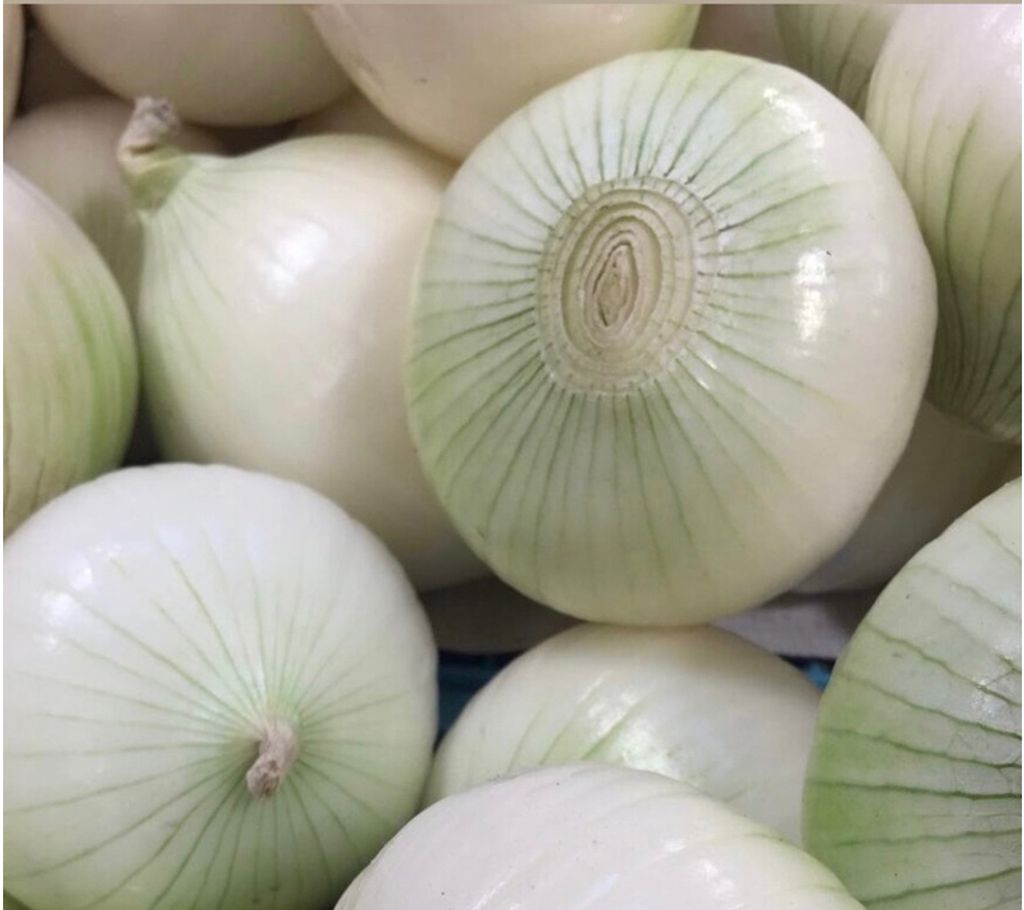 Bawang holland siap kupas