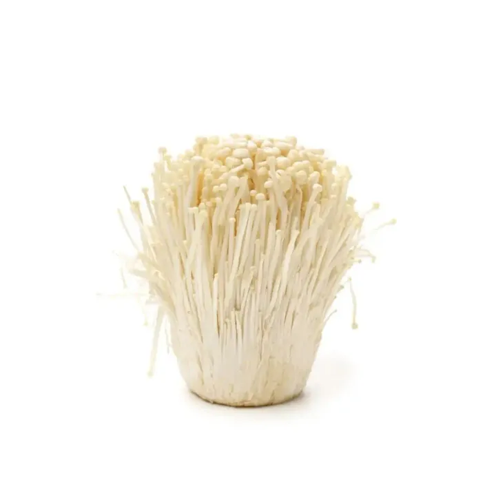 Cendawan enoki