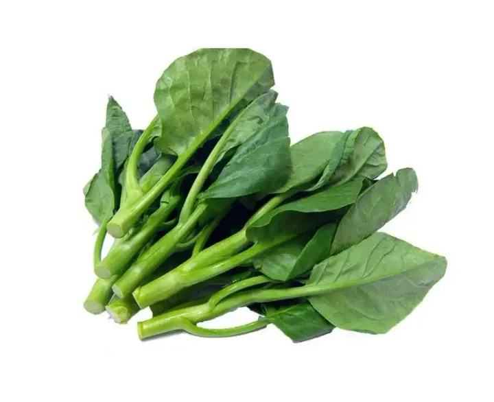 Kailan segar