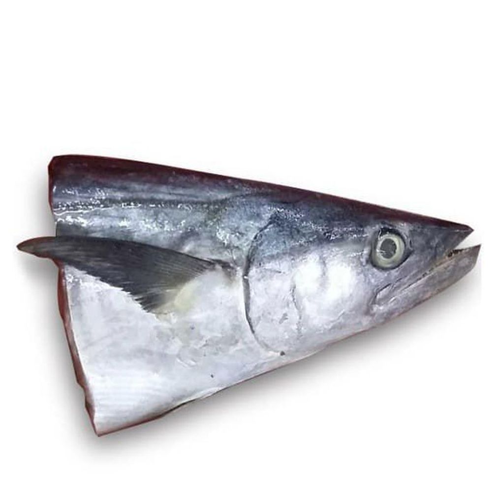 Kepala ikan tenggiri segar