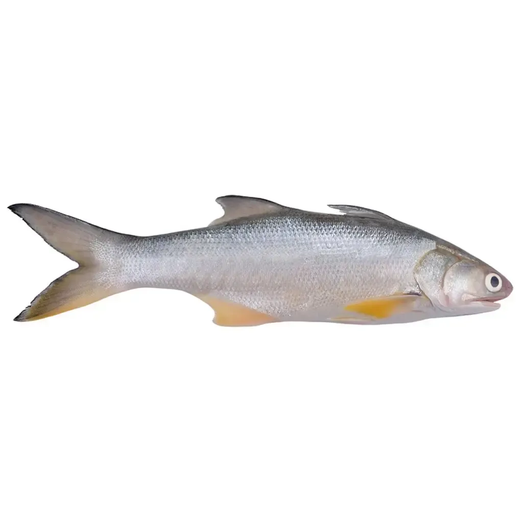 image_8AC5B5BA-BEFF-42C6-B848-004624EA8446_1771264072