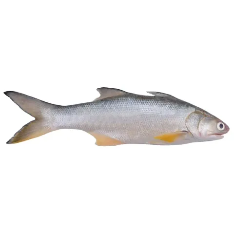 image_8AC5B5BA-BEFF-42C6-B848-004624EA8446_1771264072