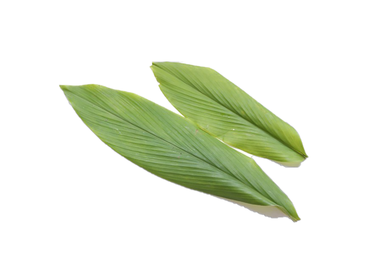 daun kunyit