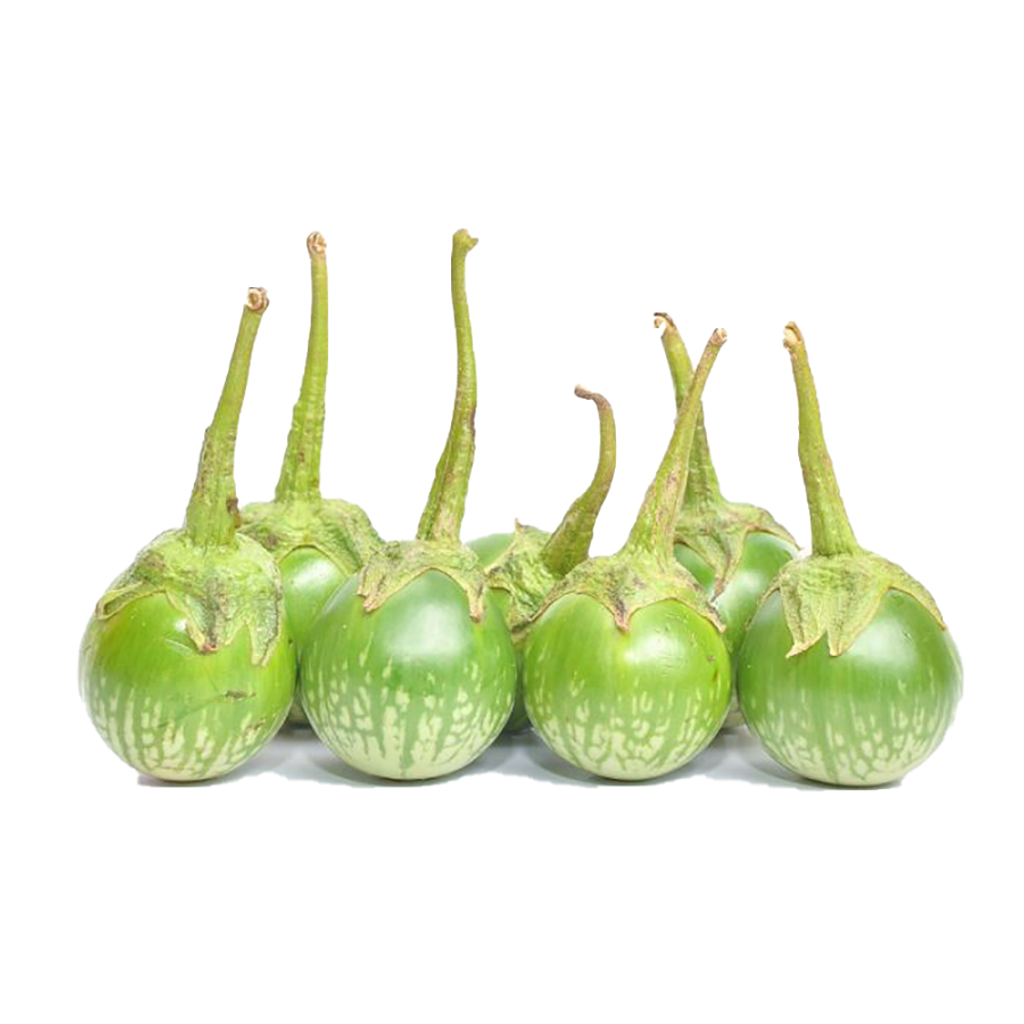 Terung bulat kecil daporunchet