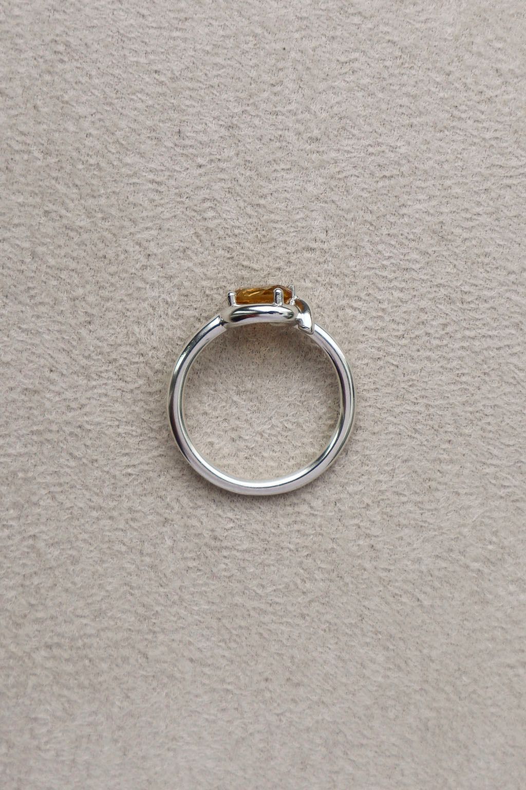 Begin Ring Side View