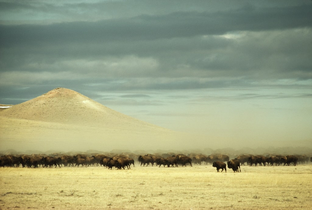 GoTravelOutdoor|Luggage|Backpack|National Geographic Bags | Free Credits