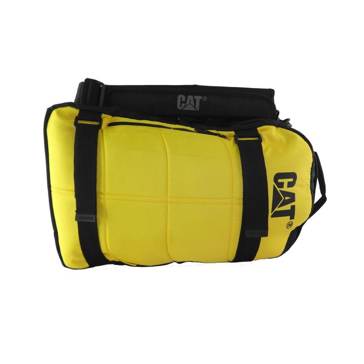 CAT-Bryan-Carryon.jpg