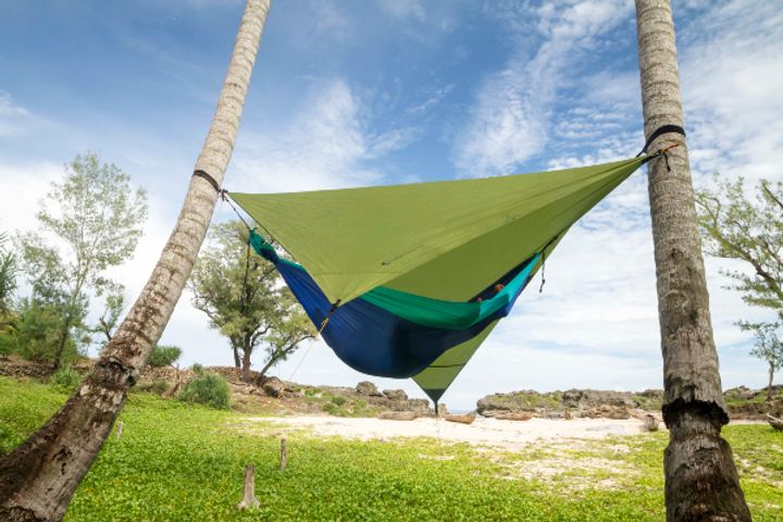 Tarp-2.jpg