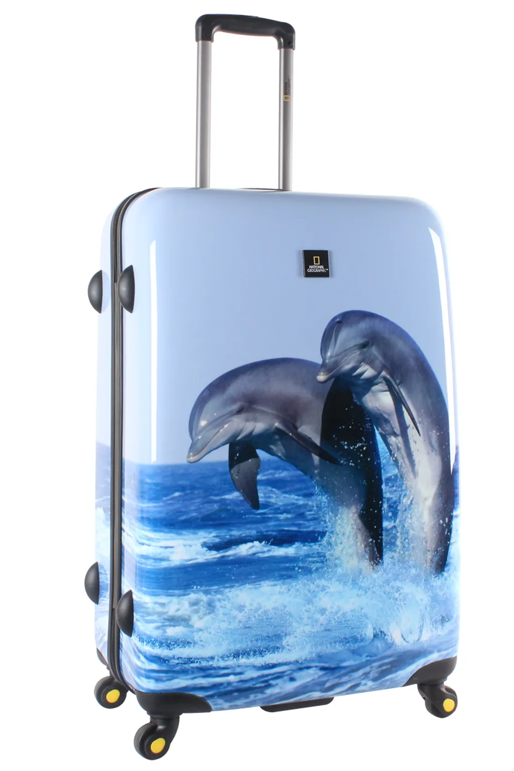 Dolphin-L-side-1200.png
