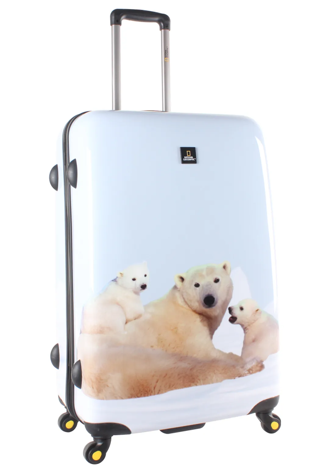 Bear-L-inside.png