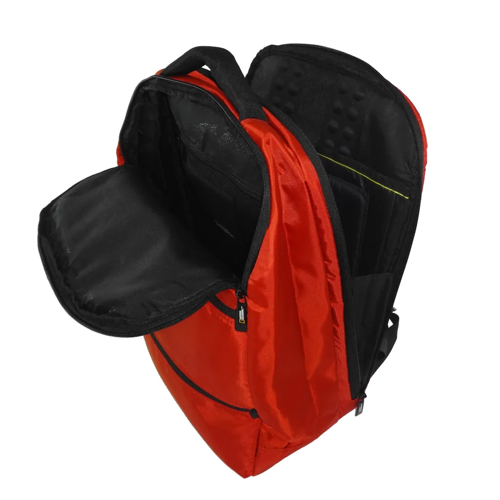 N13212.29-inside (web).png