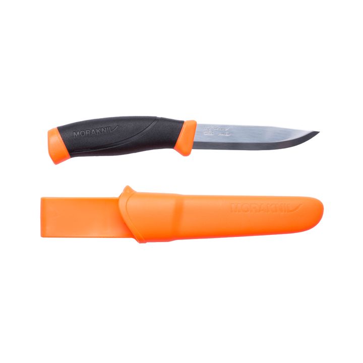 Companion_Orange