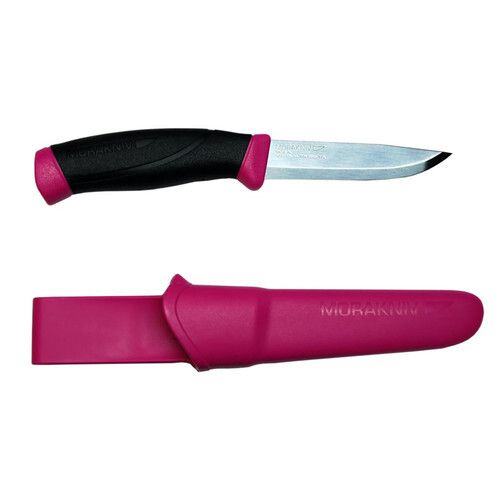 Companion_Magenta