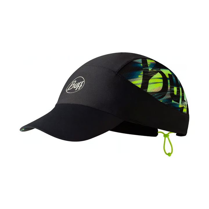 Cap_neahrs_logo_1