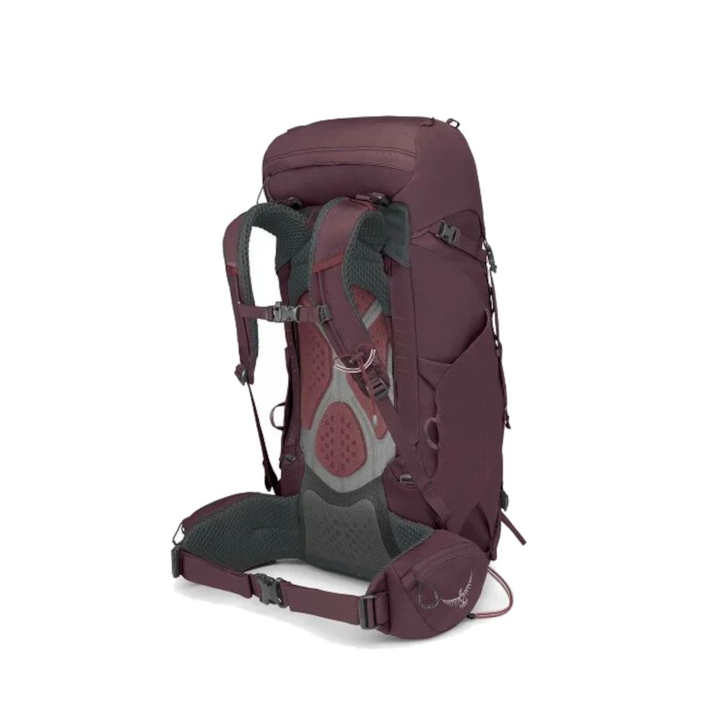 kyte-38-purple-1