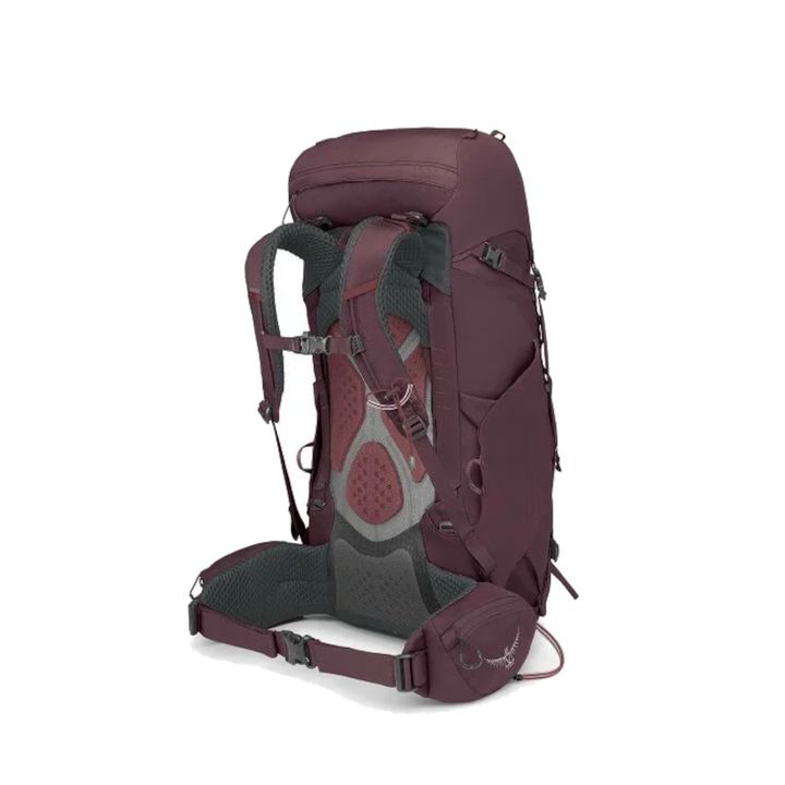 kyte-38-purple-1