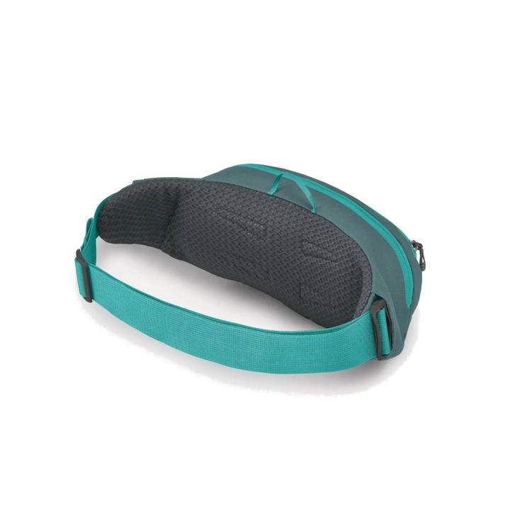 Osprey-Daylite-Waist-Pack-Everyday-Jetstream-Blue-2