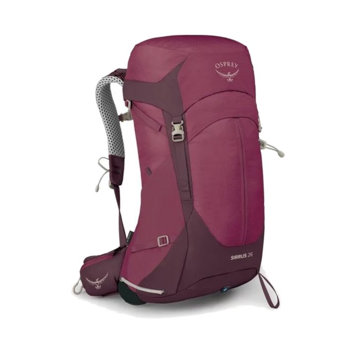 _0011_s24_sirrus26_elderberrypurplechirutan_10005785_2_web