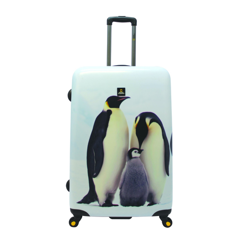 Penguin-large-icon.png