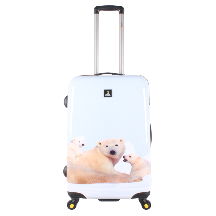 Polar-Bear-Medium-icon.png