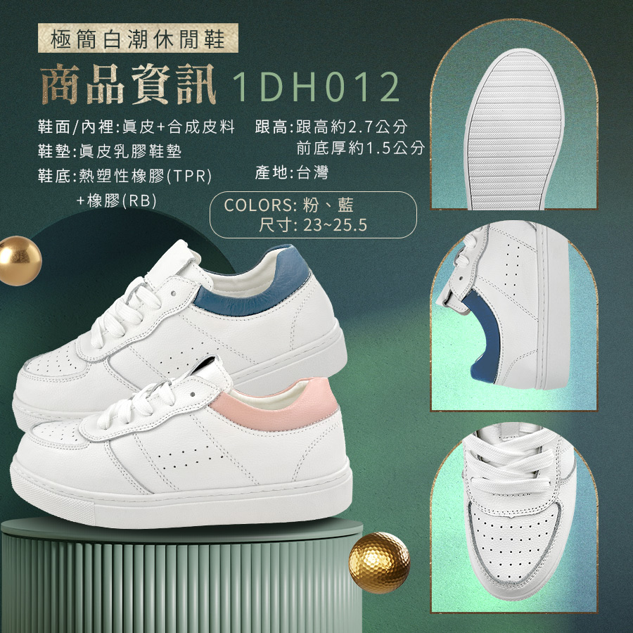 1DH012(9)