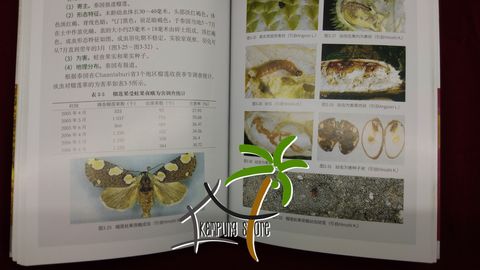 Durian book04.jpg