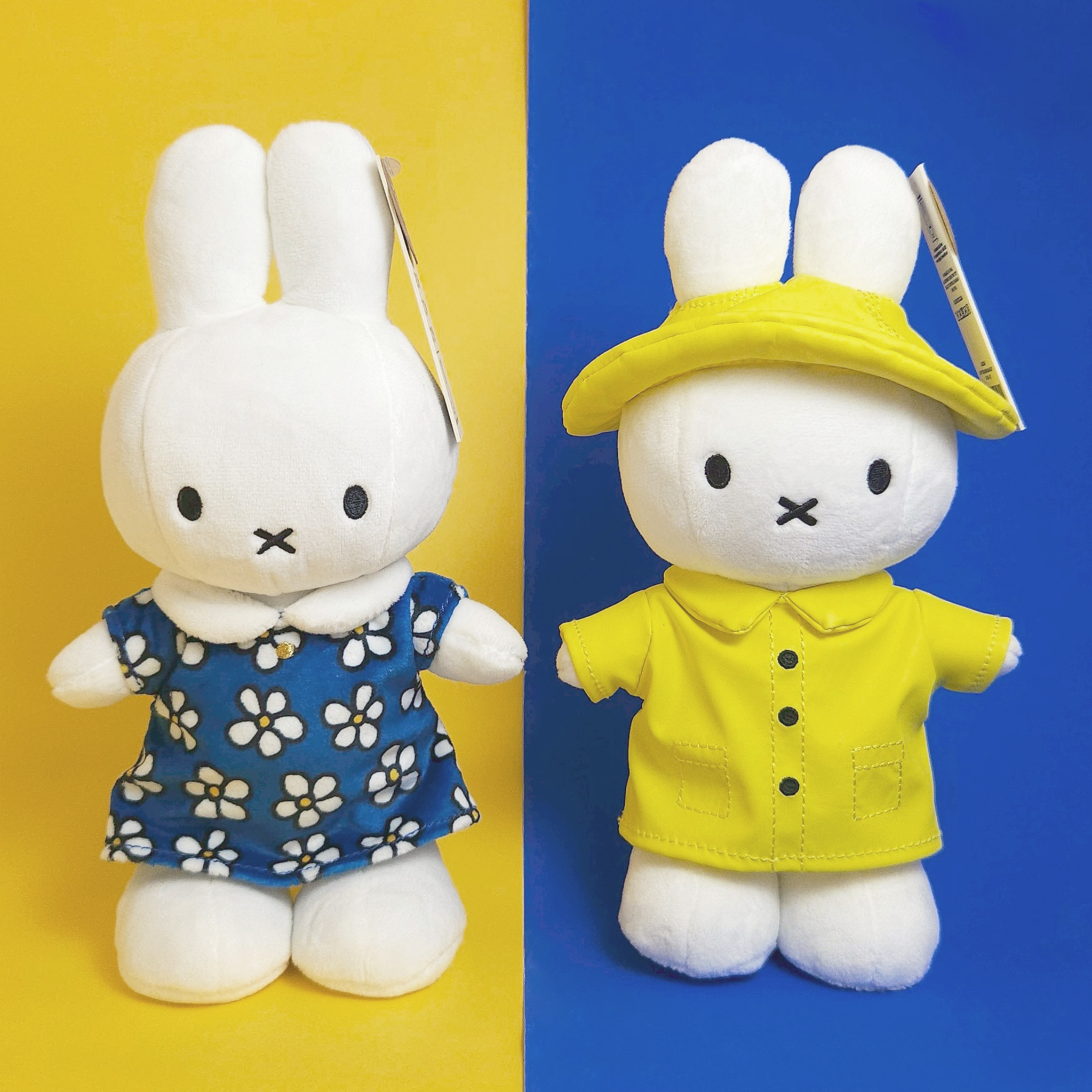 Blue Flower Dress&Rain Suit-1