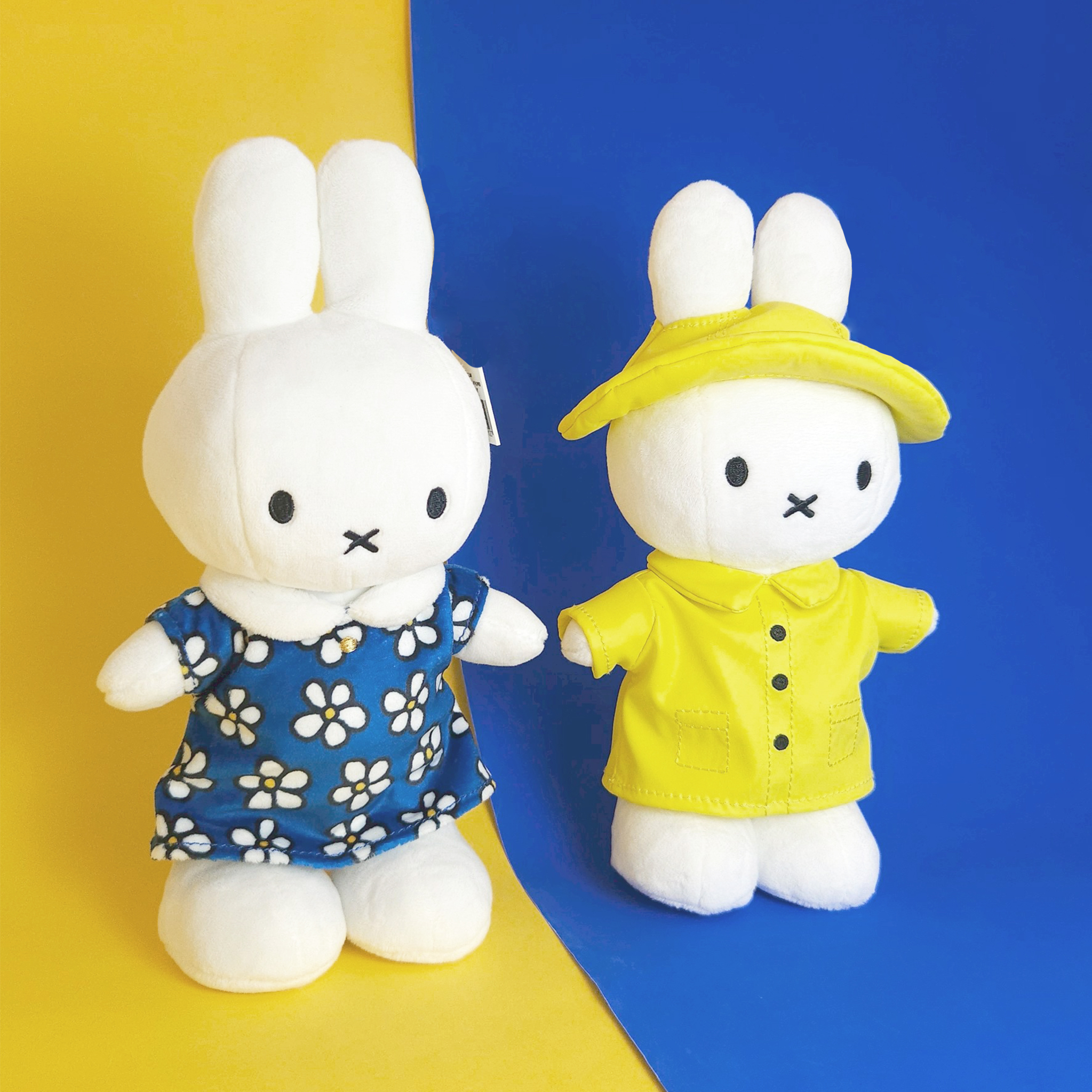 Blue Flower Dress&Rain Suit-2