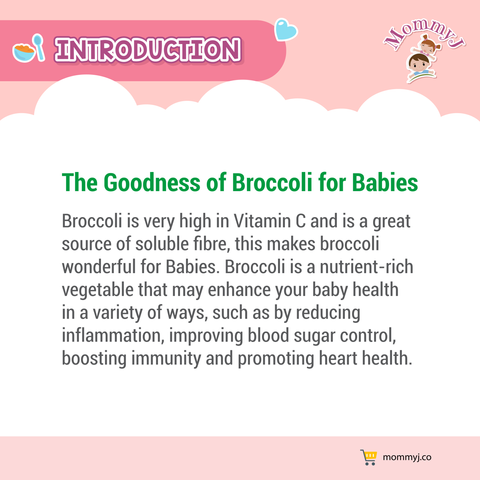 Baby Organic Broccoli Stick Noodle_1