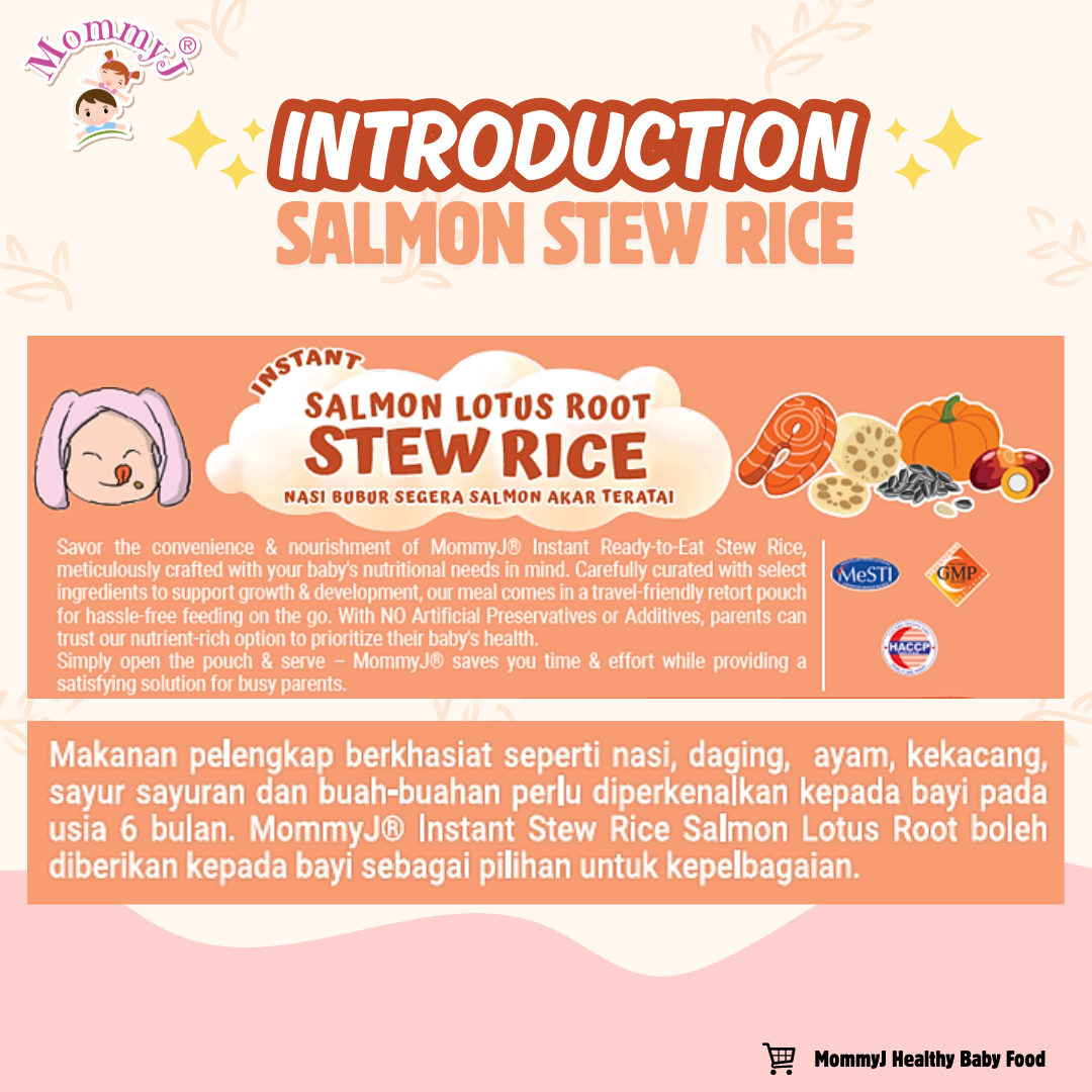 Stew Rice (Salmon) (3)