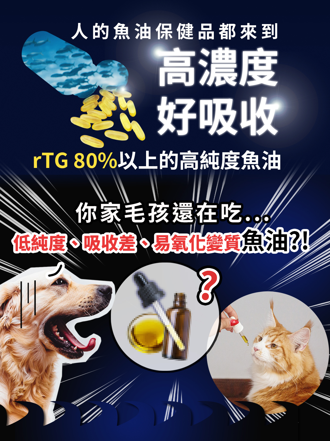 寵樂芙狗貓寵物魚油80% rTG高濃度好吸收_高濃度好吸收為何要吃變質魚油