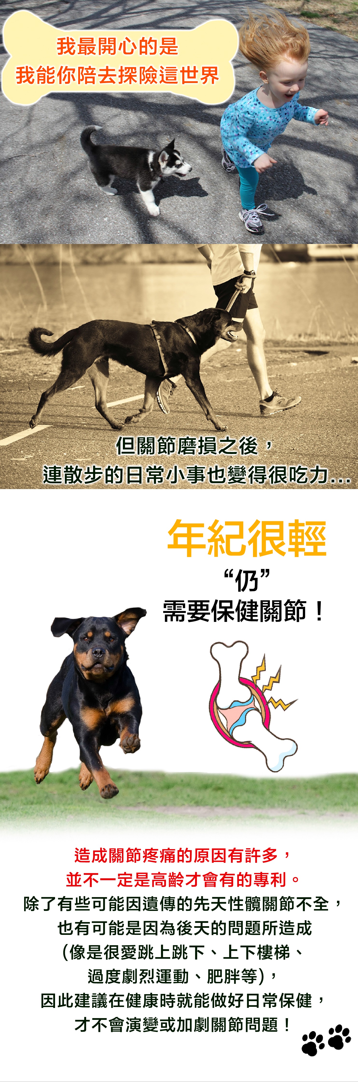 寵樂芙-龜鹿01.jpg