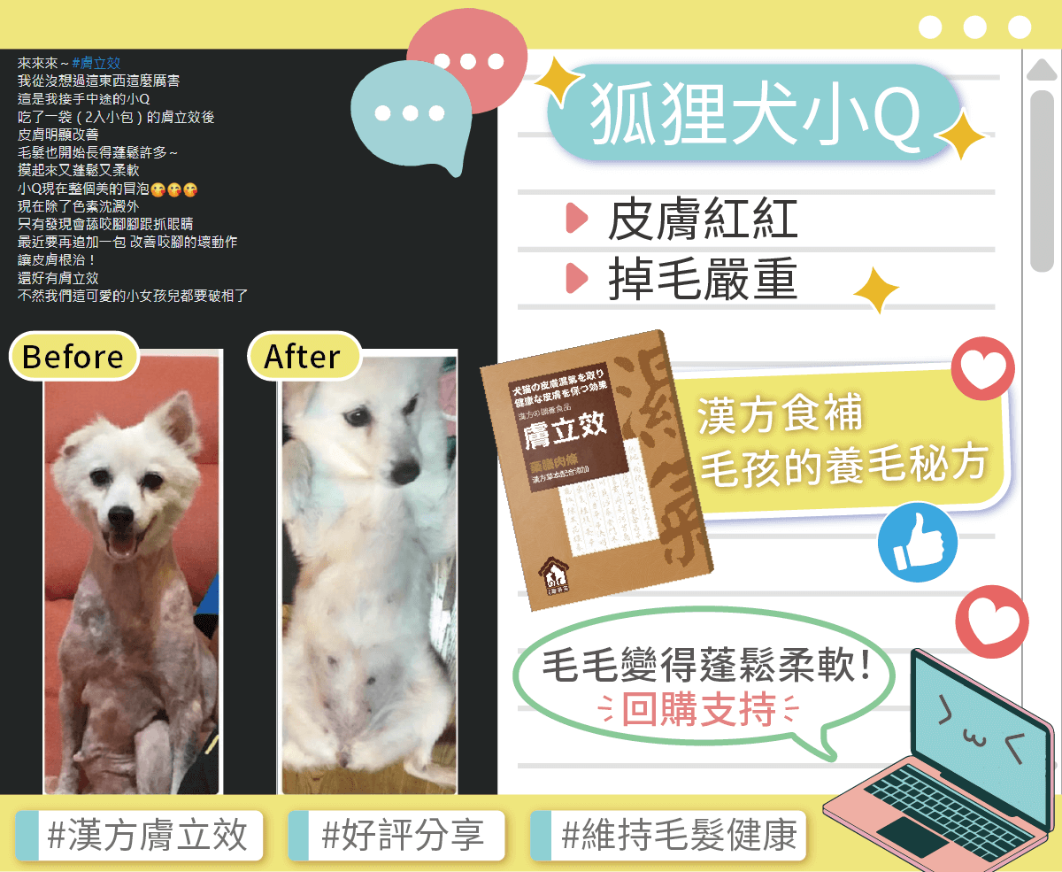 【膚立效好評分享】－狐狸犬小Q