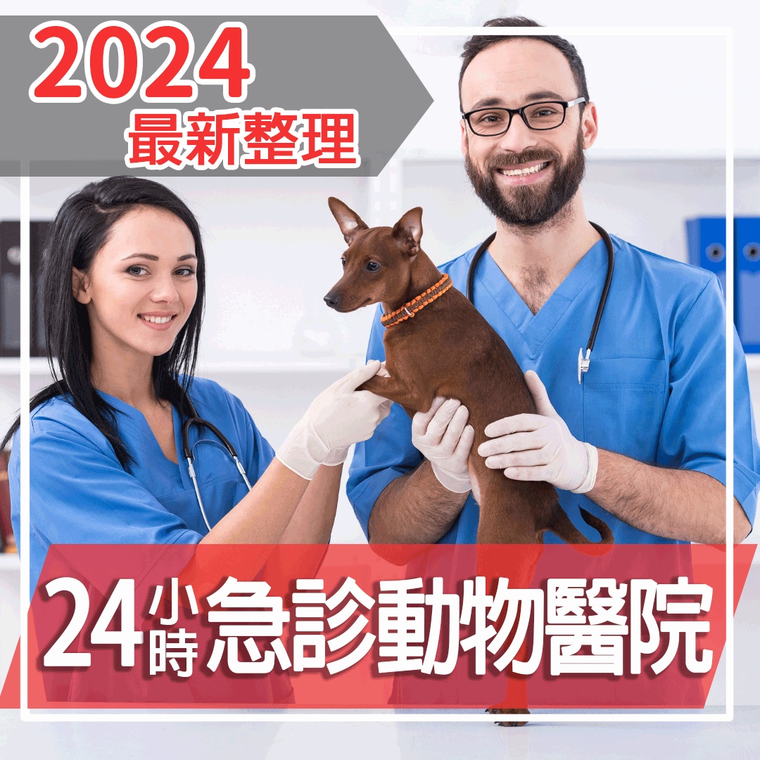 2024更新｜24小時獸醫院整理